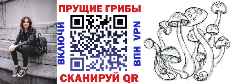 Галлюциногенные грибы Psilocybe Купить где Лукоянов